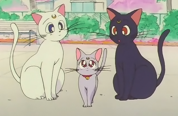 ประวัติ 3 ตัวละคร แมวผู้พิทักษ์เซเลอร์มูน 【Pretty Guardian Sailor Moon】