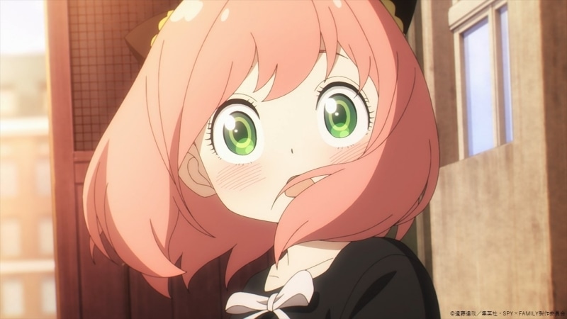 ประวัติของ อาเนีย ฟอร์เจอร์ ใน สปาย × แฟมิลี【SPY x FAMILY】